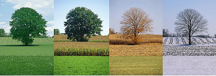 《阿凡达：潘多拉边境》配置公布 支持RTGI＆FSR3.0