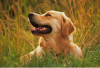 破碎时层的无尽挑战《时行者：黑暗世界》现已在NS平台正式发售